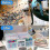 16-Compartment Portable Storage Box for Photos and Memories, Compact Organizer with Clear Inserts 5