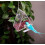 Bird Feeder with Outdoor Camera, Nesting Box with 720P Night Vision Camera, WiFi Camera, Black 2