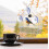 Bird Feeder with Outdoor Camera, Nesting Box with 720P Night Vision Camera, WiFi Camera, Black 4