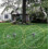 8 packs Solar powered mole repeller, sonic mole deterrent pest control rodent repeller snake chaser mole gopher vole. 4