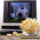 Uniwersalny pilot do Smart TV Replacement do TV 4