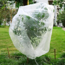 (1.95x1.75m) QWORK Fruit Tree Bird Net 195x175cm with Drawstring Garden Plant Protection Net for Blueberries Strawberries Vegetables