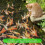 4x3m Pond Net Fine Mesh Polyethylene Bird Net with 12 Ground Anchors, Fruit Tree Net, Chicken Net, Balcony Net 3