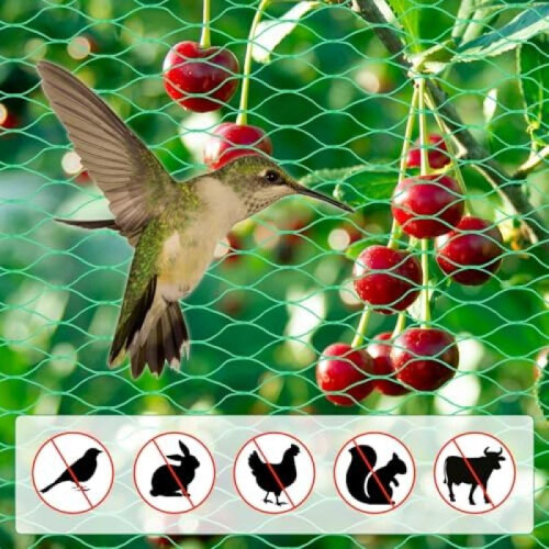 (1, B) 4x6m Fine Mesh Bird Net Garden Fruit Tree Protection Net Green Durable 2