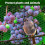 (1, A) 4x6m Fine Mesh Bird Net Garden Fruit Tree Protection Net Green Durable 6