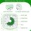 Visual Timer for Kids and Adult, 60-Min Countdown Timer,Cute Timer with Silicone Case for Homeschool Study Lightgreen 7