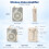 Portable Wireless Headset Microphone and Amplifier for Teaching for Classroom,Speech,Training Outdoor Charging &Storage 6