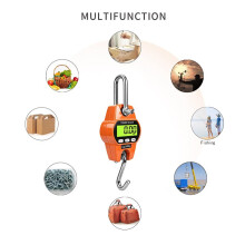 Luggage Scale Luggage Scale1