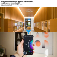 LED-WLAN-Streifen-Set für -WLAN-RGB-5050-LED-Streifen, Neon-LED-Streifen für Gaming-Zimmer, Dekorationslichtleiste (EU)