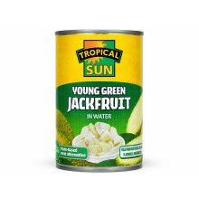 Tropical Sun Young Green Jackfruit in Water 400g | Plant-Based