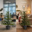 Green Pine Potted Christmas Tree with Stone Effect Base 4