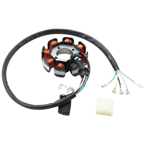 Statore Alternatore A Magnete A 8 Bobine e 5 Fili per ATV e Moto da  da 125cc, 150cc, 200cc e 250cc 1