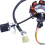 Statore Alternatore A Magnete A 8 Bobine e 5 Fili per ATV e Moto da  da 125cc, 150cc, 200cc e 250cc 4