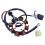 Statore Alternatore A Magnete A 8 Bobine e 5 Fili per ATV e Moto da  da 125cc, 150cc, 200cc e 250cc 8