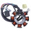 Statore Alternatore A Magnete A 8 Bobine e 5 Fili per ATV e Moto da  da 125cc, 150cc, 200cc e 250cc 6