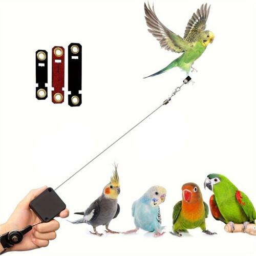 Bird Leash, with 3 Different Size Foot  , Retractable Anti-Bite  Harness, Bird Flight Training Rope for Budgie 1