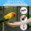 Bird Leash, with 3 Different Size Foot  , Retractable Anti-Bite  Harness, Bird Flight Training Rope for Budgie 3