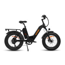 HAOQI Antelope2.0 Vélo électrique fat bike à cadre bas 48 V 250 W, double batterie 1200 Wh, 25 km/h, 204.0, noir