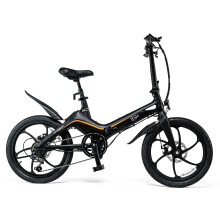 Eagle+ Vélo électrique pliant, moteur 36 V 250 W, batterie Samsung 36 V 10,2 Ah (367,2 Wh), 25 km/h, roues 20 pouces, noir