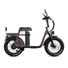 Trottinette électrique ET20, moteur 48 V 750 W, batterie 48 V 15 Ah, pneus 20 x 4,0, cadre en aluminium — noir