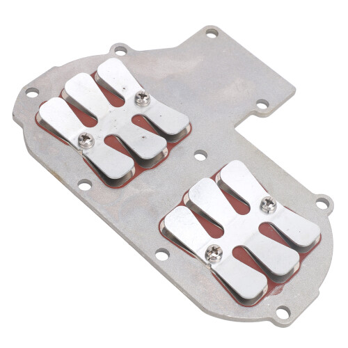 Einlass Membranventil 30 PS 2-Takt Motor 1