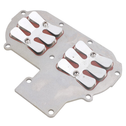 Einlass Membranventil 30 PS 2-Takt Motor 2