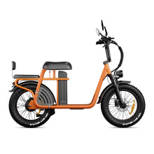 Trottinette électrique ET20, moteur à moyeu arrière 48 V 750 W, batterie 48 V 15 Ah, autonomie 40–60 km à 25 km/h, pneus 204,0, freins à disq