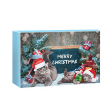 (Blue)Christmas Cat Advent Calendar 24 Days Interactive Toys Treats Gift Model Lovers