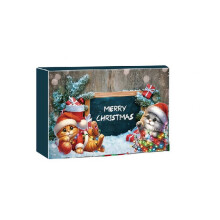 (Green)Christmas Cat Advent Calendar 24 Days Interactive Toys Treats Gift Model Lovers