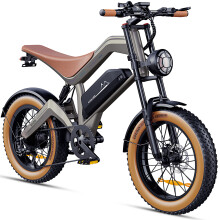 M20+ Vélo électrique 48 V 18,2 Ah (873,6 Wh) batterie amovible, moteur moyeu à engrenages, puissance de pointe 1500 W, tout-suspendu, pneus fat