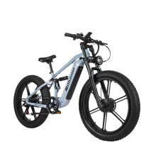 Nathaniel SYR-09 Vélo électrique SYR09 • Deux moteurs de 1000 W • Batterie 48 V 20 Ah • Pneus 264,0" • Cadre en aluminium • Gris Moonlig