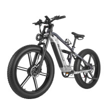 Vélo électrique Nathaniel SYR-09 SYR09 • Deux moteurs de 1000 W • Batterie 48 V 20 Ah • Pneus 264,0" • Cadre en aluminium • Gris argent