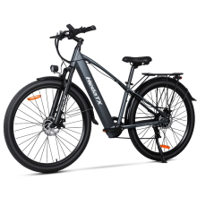HedaTX TX1 Vélo électrique 48V 13Ah, moteur moyeu arrière de 350W, pneus 292.1, cadre à enjambement bas en aluminium, gris métallisé