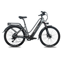 HedaTX TX10 Vélo électrique, cadre en aluminium 27,5 pouces, batterie 48V 15,6Ah, moteur arrière 350W, frein à disque hydraulique, gris