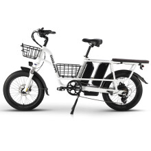 Philodo Traveller, vélo électrique à double batterie 48 V 750 W, deux batteries 48 V 15,6 Ah, pneus fat 20 x 3 pouces, Shimano 7 vitesses, cadre en