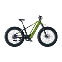 Cyrusher Zenith Vélo électrique 52 V 15 Ah, moteur 250 W, Shimano 7 vitesses, freins à disque hydrauliques, cadre en aluminium - vert