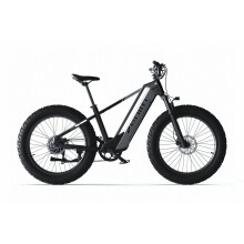 Cyrusher Zenith Vélo électrique 52 V 15 Ah, moteur 250 W, Shimano 7 vitesses, freins à disque hydrauliques, cadre en aluminium - gary