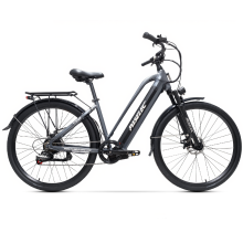 PASELEC TX10+ vélo électrique à cadre bas 700C, moteur arrière Xiongfeng 350W, batterie 48V 15.6Ah, 7 vitesses, gris