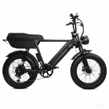 Vélo électrique Y20 Plus, moteur 48 V 250 W, batterie 48 V 15 Ah, autonomie 78 km, pneus Fat 20 x 4,0, noir
