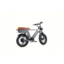 Vélo électrique Y20 Plus, moteur 48V 250W, batterie 48V 15Ah, autonomie 78 km, pneus fat 20 x 4,0, gris