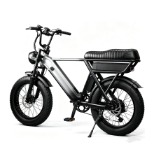 Vélo électrique Y20, moteur 48V 250W, batterie 48V 15Ah, vitesse maximale 25 km/h, pneus FAT 204,0, freins hydrauliques — gris