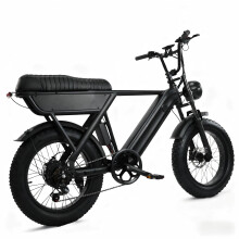Vélo électrique Y20, moteur 48V 250W, batterie 48V 15Ah, vitesse maximale 25 km/h, pneus fat 20x4.0, freins hydrauliques — Noir