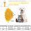 Pet Recovery Collar for Dogs and Cats, Soft Adjustable Neck Protector with Sunflower Pattern, Comfortable Protective Cushion, Small 2