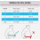 Back Brace Lumbar Support Belt for Herniated Disc, Adjustable Lower Back Support Strap, Breathable Waist Support, Size L 95-115 cm 6