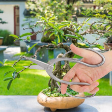Gartenschere 195mm Edelstahl Bonsai Schnitt