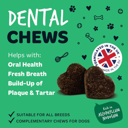 BugaLugs Bugalugs Dog Dental Supplement 120 Soft Chews 1