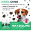 BugaLugs Bugalugs Dog Dental Supplement 120 Soft Chews 3