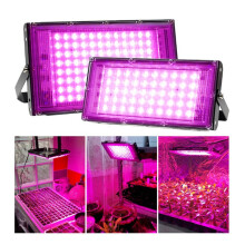 2X for Plants 200W LED Grow Lamp Full Spectrum Lamp Greenhouse Growth Lighting Wire Plug