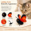 (Blue) Automatic Cat Teaser Toy, Hanging Elastic String Interactive Simulation Cat Toy Pet Play Supplies 13