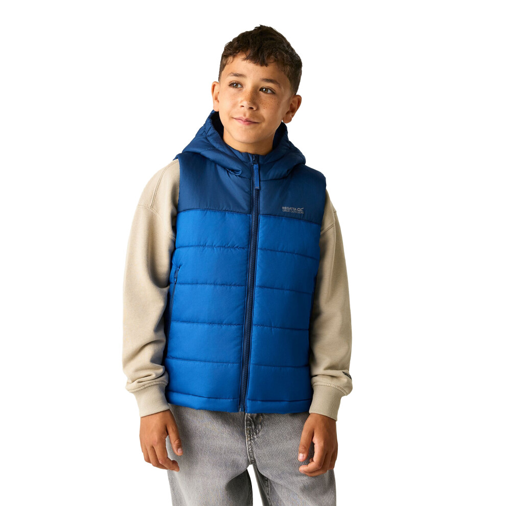 Regatta (13 Years, Aviator Blue/Olympian Blue) Childrens/Kids Lofthouse Body Warmer